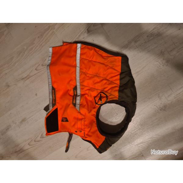 gilet de protection chien de chasse