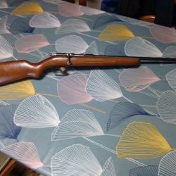 carabine 9mm de jardin