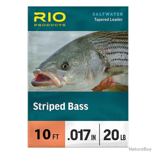 Bas de ligne RIO Stripped Bass 10' (3m) 16LB
