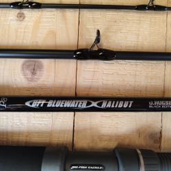 Canne BFT Blue Water 7' 40 lbs travel 4 brins