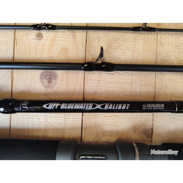 Canne BFT Blue Water 7' 40 lbs travel 4 brins