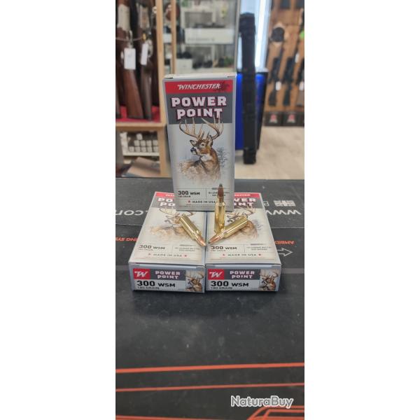 5 boites de 20 balles winchester power point 300 wsm 180gr