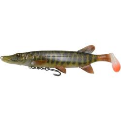 4D Pike shad striped pike