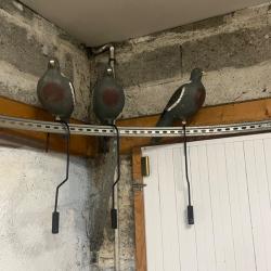 lot de 3 crochets pour appelant pigeons avec 3 appelants pigeons ramier classique