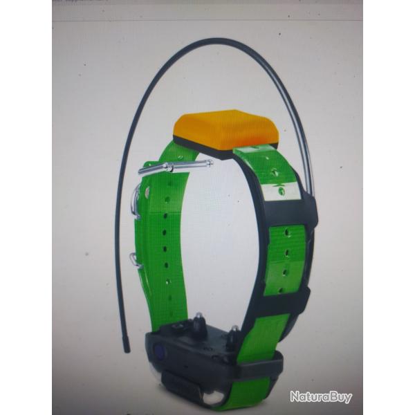 Dogtra Pathfinder 2 collier suppl�mentaire vert