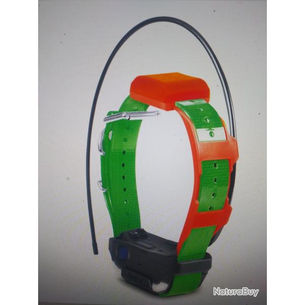 Dogtra Pathfinder 2 trx collier suppl�mentaire vert