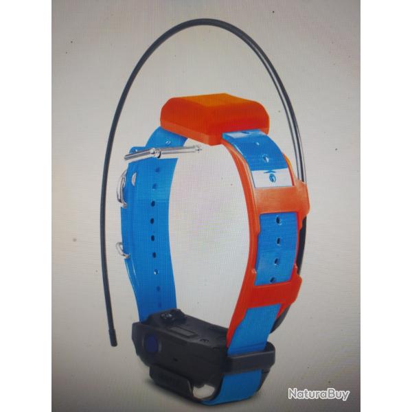 Dogtra Pathfinder 2 trx collier suppl�mentaire bleu
