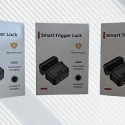 PROMO ! 3x Verrou de pontet biom&eacute;trique ! inclus 2 cl&eacute;s de secours