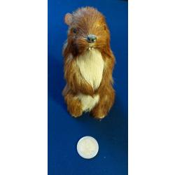 Imitation De Marmotte Taxidermie