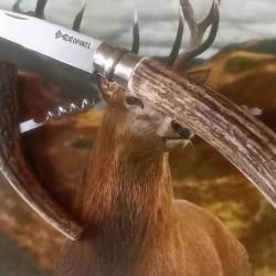 Couteau de poche pliant Opinel 12 bois de cerf