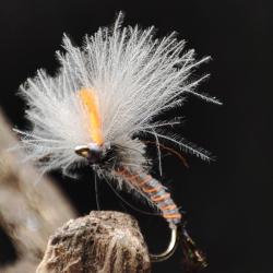 Lot de 19 Mouches S&egrave;ches - Hame&ccedil;on #12 (Avec Ardillon)