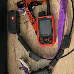 Centrale + 2 colliers TR DOG V2