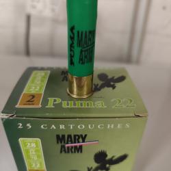 Mary Arm Puma 22