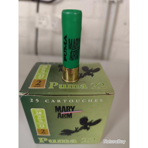 Mary Arm Puma 22