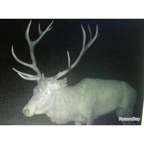 Part action Chasse Alsace La petite pierre