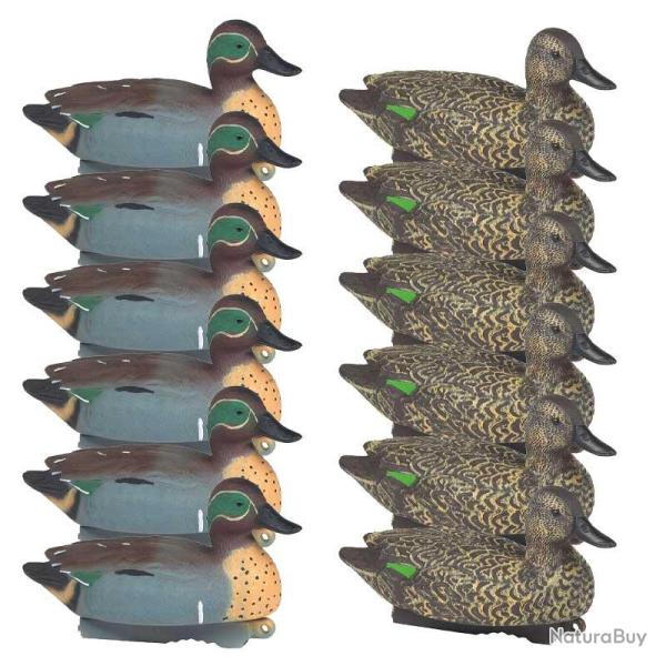 Formes de sarcelle HD Stepland x12 69839454ac0d4