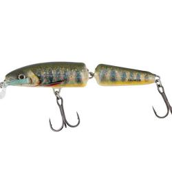 Poisson Nageur Salmo Fanatic 7cm Floating 5g 7cm Lake Charr