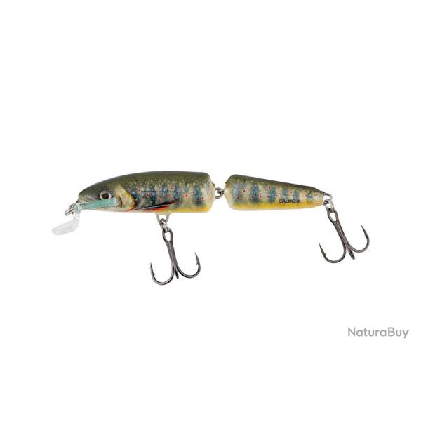 Poisson Nageur Salmo Fanatic 7cm Floating 5g 7cm Lake Charr
