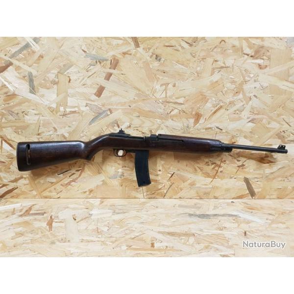 SAGINAW USM1 30 COURT