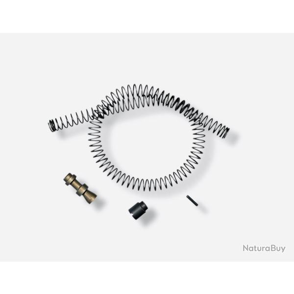Ressort de Crosse Complet Beretta A303