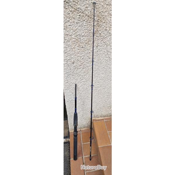 Canne Daiwa Jig silure/mer