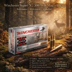 Winchester 300wm Power Point 180 gr  5