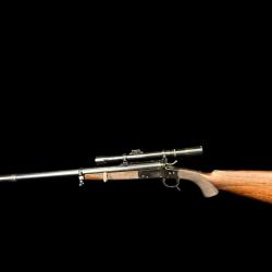 CARABINE DICKSON & SON mod&egrave;le ROOK AND RABBIT calibre 22LR