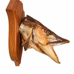 T&ecirc;te de brochet