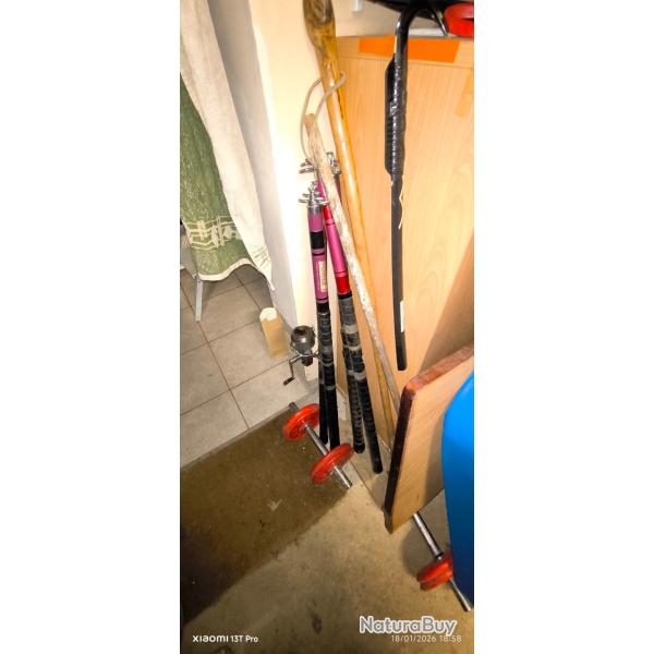 4 Cannes a p�che force 1 a carpes