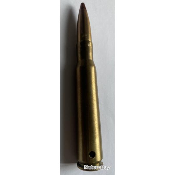 munition neutralis�es de 12.7