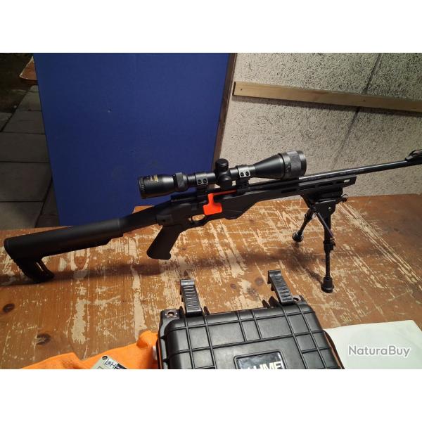 Carabine 22lr
