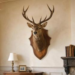 Ecusson chasse troph&eacute;e chevreuil ch&ecirc;ne fonc&eacute; cir&eacute; 52x31cm
