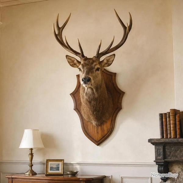 Ecusson chasse troph�e chevreuil ch�ne fonc� cir� 52x31cm