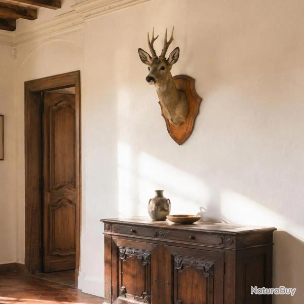 Ecusson chasse troph�e chevreuil ch�ne fonc� cir� 40x25cm