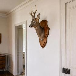 Ecusson chasse troph&eacute;e chevreuil ch&ecirc;ne fonc&eacute; cir&eacute; 44x28cm