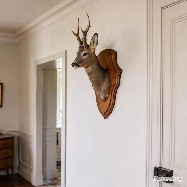 Ecusson chasse troph�e chevreuil ch�ne fonc� cir� 44x28cm