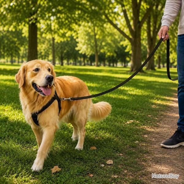 Longe pour chien 5m kaki