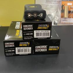 Electrochoc / Lampe Rechargeable - Concorde Defender 2800 kvolt