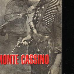 campagne d'Italie. Monte Cassino.chasseurs parachutistes germanique de rudolf bohmler ,