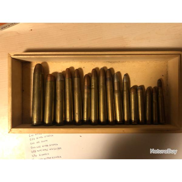 lot de 16 cartouches parmis les plus gros calibres type Africain  700 nitro 600 nitro ect...