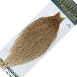 Cous de coq WHITING HEBERT Pro Grade Gris Roux