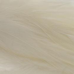 Plumes de saddle Blanc
