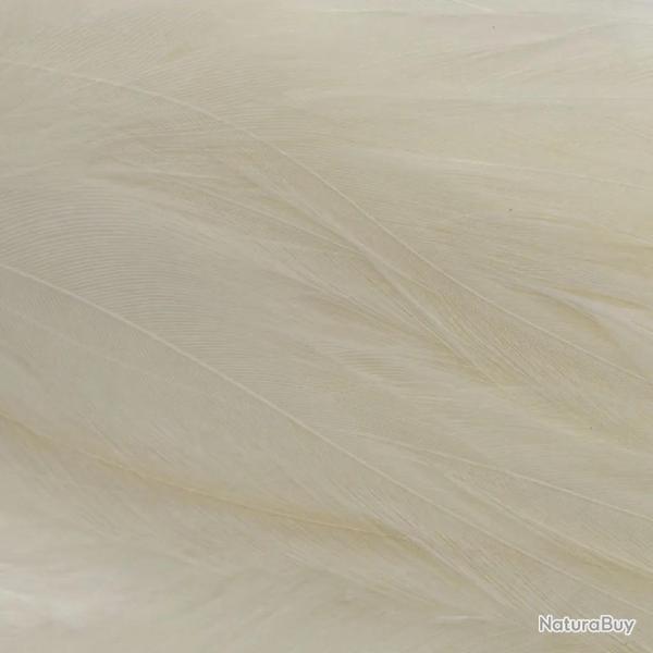 Plumes de saddle Blanc