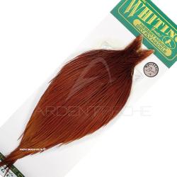 Cous de coq WHITING HEBERT bronze naturel roux