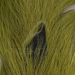Bucktail queue de daim Large Olive