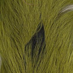 Bucktail queue de daim Large Olive