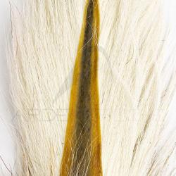 Bucktail queue de daim UV2 Large Blanc