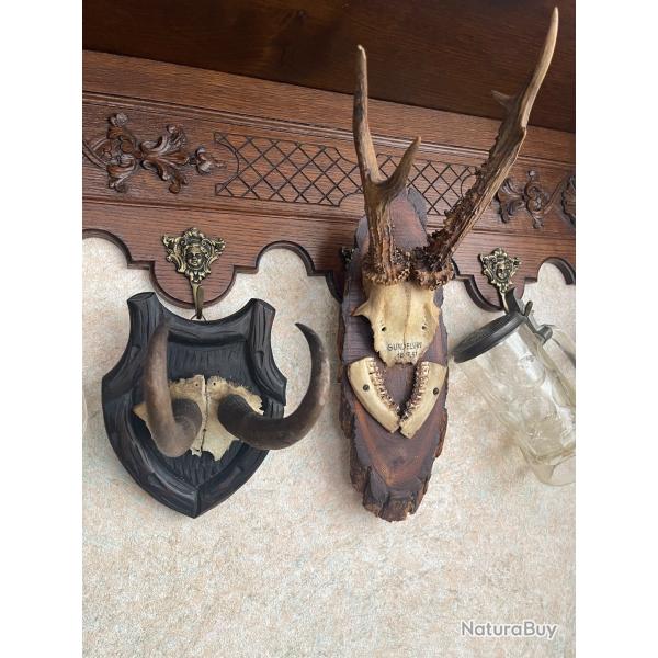 Lot de deux troph�es brocard et chamois anciens 1951