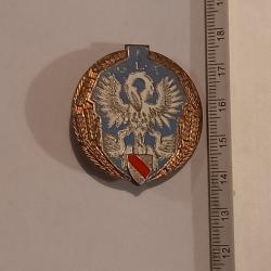 Insigne du 1er groupe de livraison par air (1er GLA)