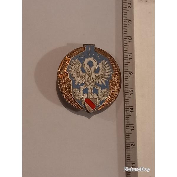 Insigne du 1er groupe de livraison par air (1er GLA)